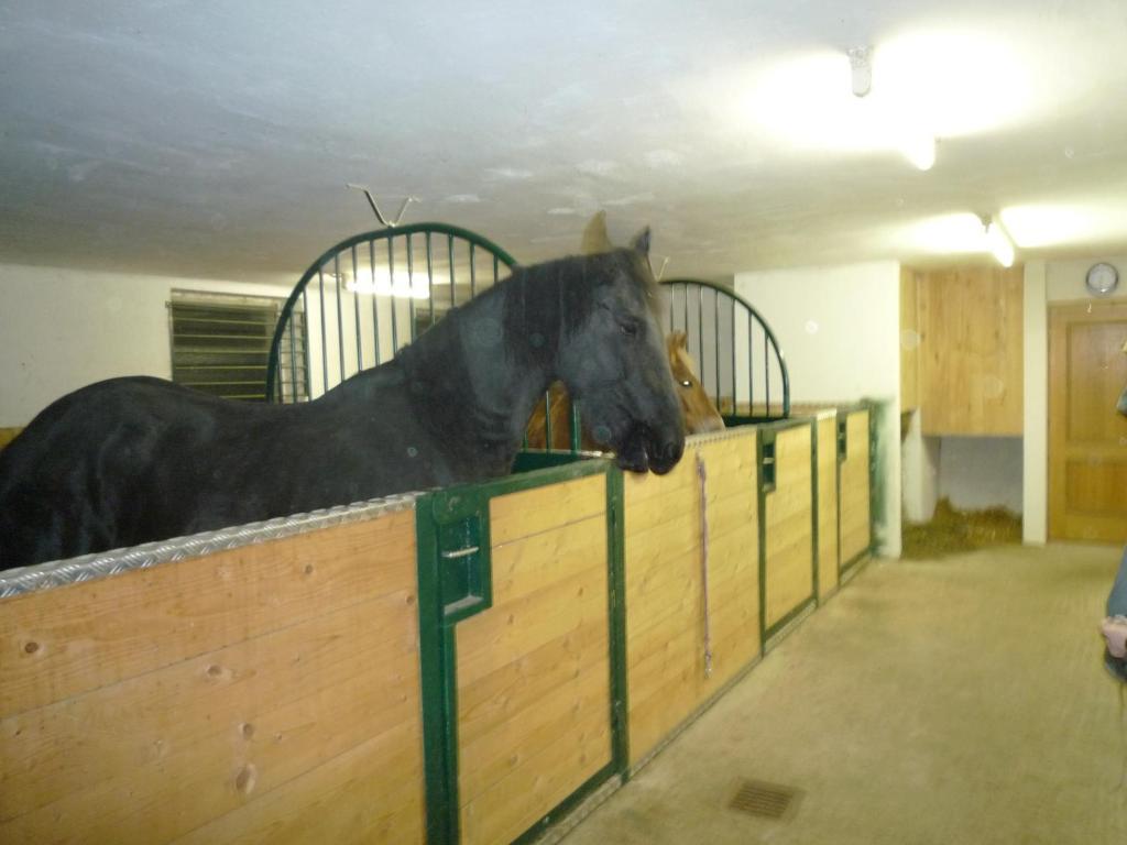 Ferienhof Unterführholzergut Klaus an der Pyhrnbahn Exterior foto